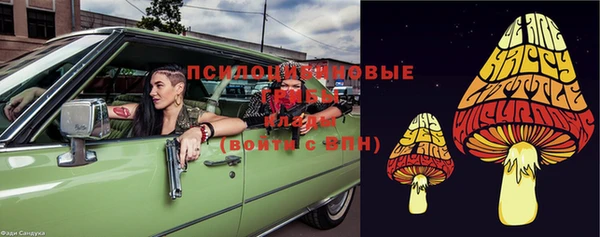 тгк Пролетарск